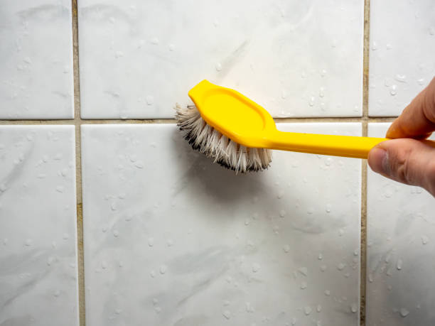 Best Black Mold Remediation in Perth Amboy, NJ
