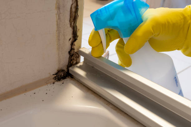 Best HVAC Mold Remediation in Perth Amboy, NJ