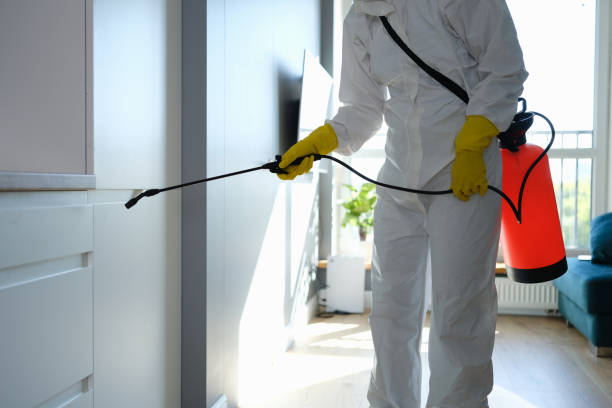 Reliable Perth Amboy, NJ Mold Remediation Solutions