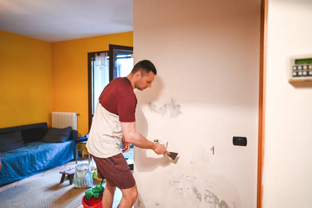 Best Health and Safety Mold Remediation in Perth Amboy, NJ